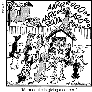 marmaduke